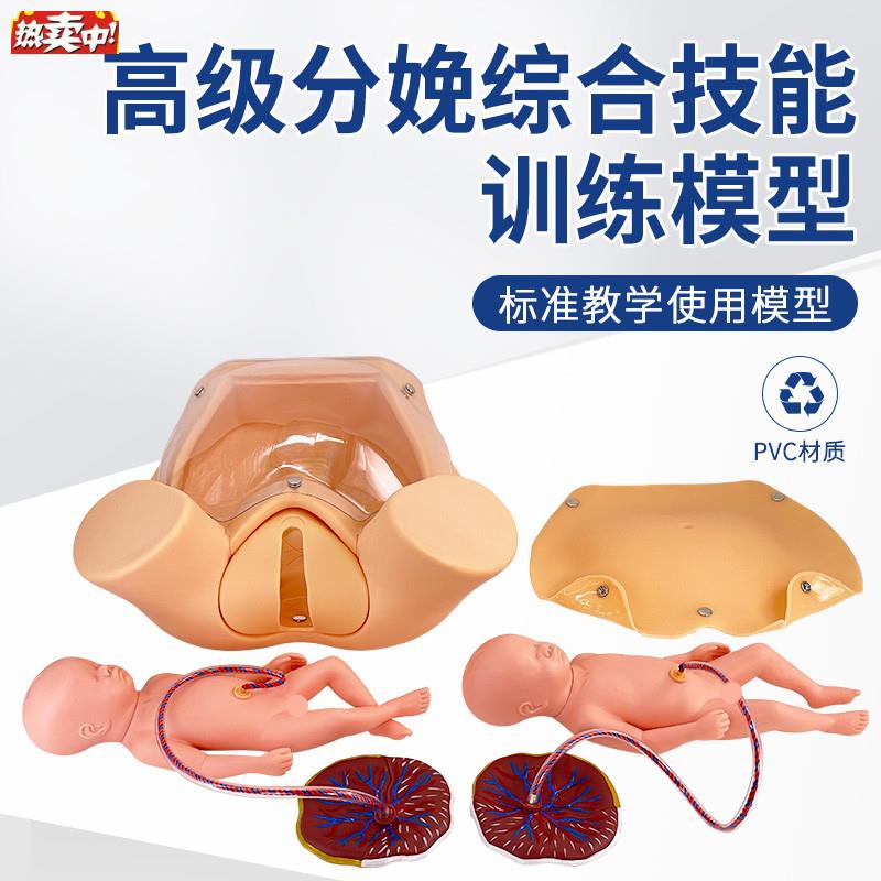 高级分娩综合技能训练模型分娩教具妇产科助产t示教孕妇分娩模型