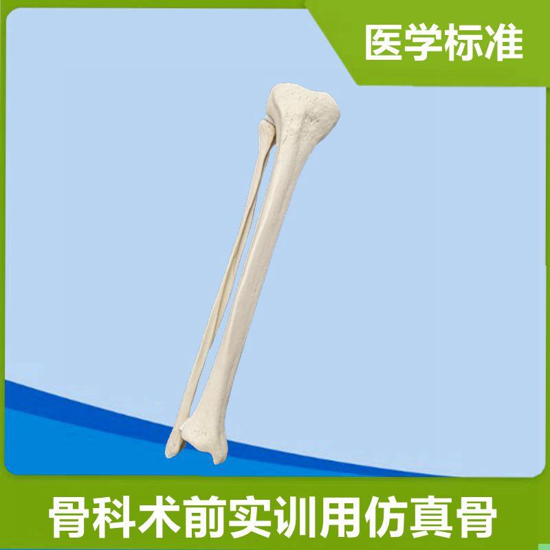 小腿骨模型医用仿真骨术前练习固定骨髓腔松质骨下肢1比1假骨头