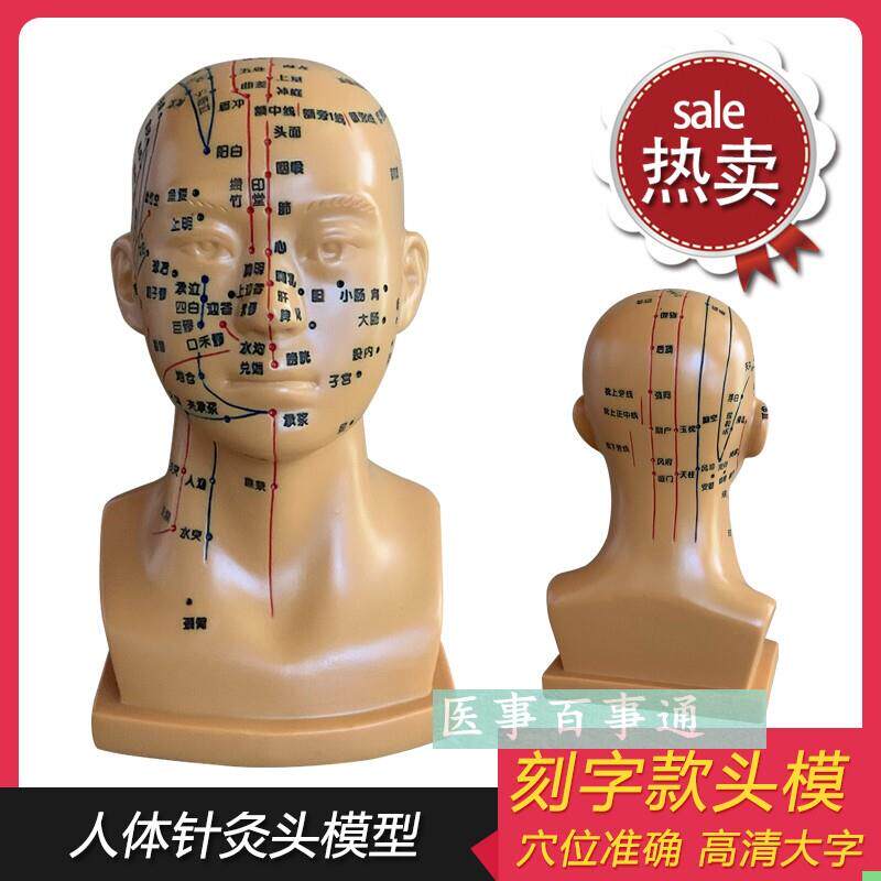 超清刻字教学人体针灸头部面部脑袋刮痧温灸拔罐按摩穴位模型包邮