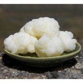 开菲尔菌种雪莲藏灵菇自制酸奶发酵菌两厘米左右大颗粒 包邮