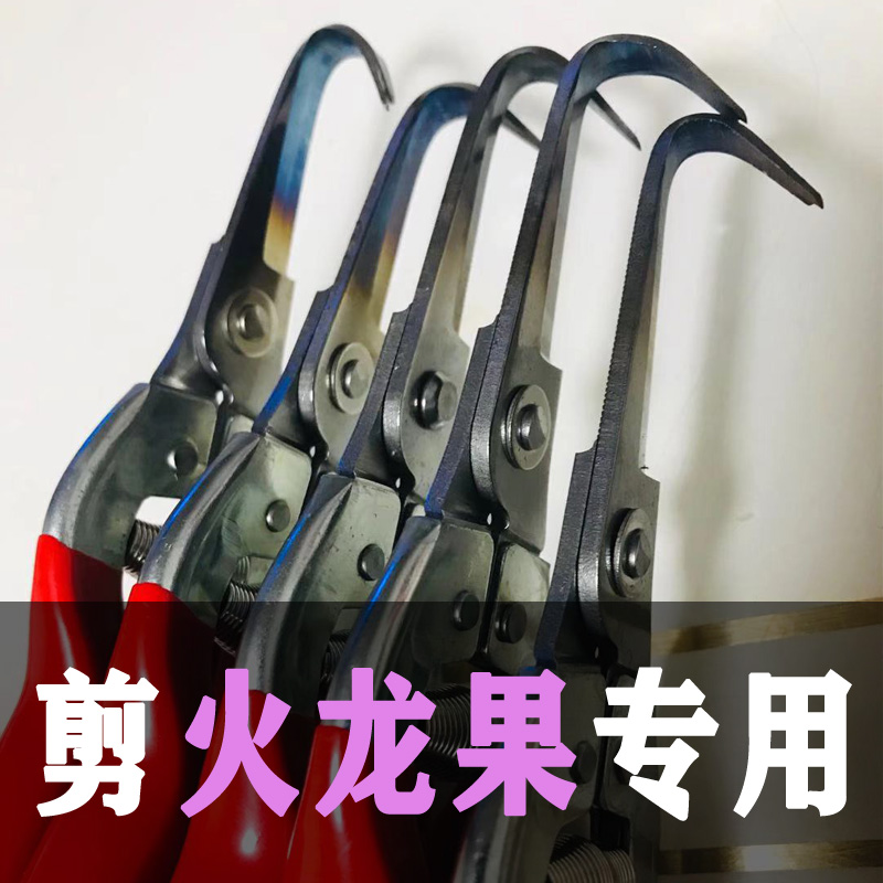 火龙果芽剪剪枝专用剪刀剪子