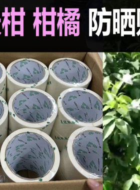 不粘果好用锁住水分防坏果