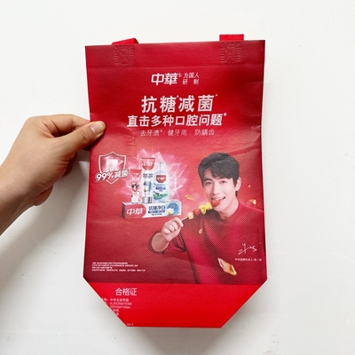 小购物袋手拎袋手提袋文件袋