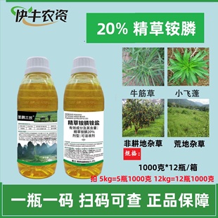 圣鹏三效20%精草铵膦铵盐精草胺磷精草胺膦胺盐牛筋草 飞蓬除草剂