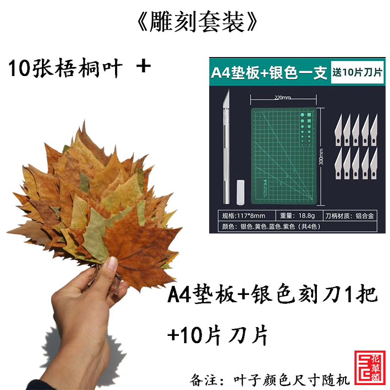 梧桐叶雕刻手工创意镂空天然真叶子节日礼物送人叶雕工具材料套装