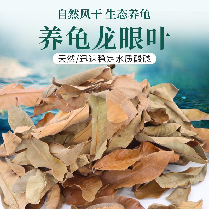 免煮乌龟用品龙眼叶预防治疗腐皮图片