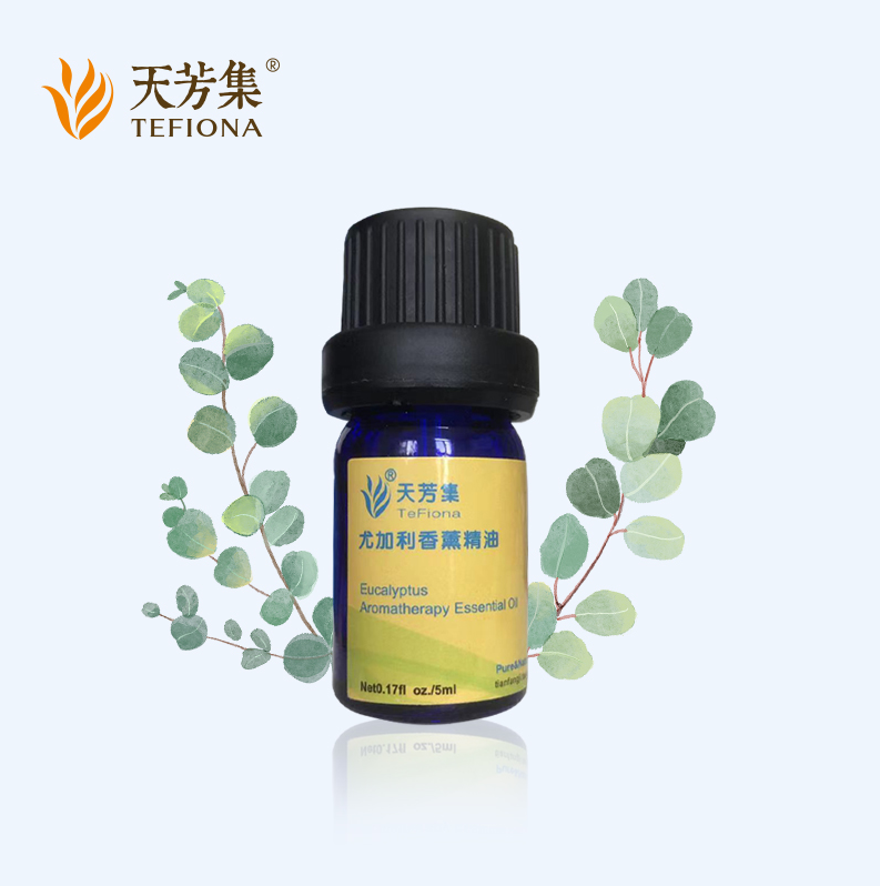 天芳集 蓝桉尤加利单方精油 5毫升*2瓶