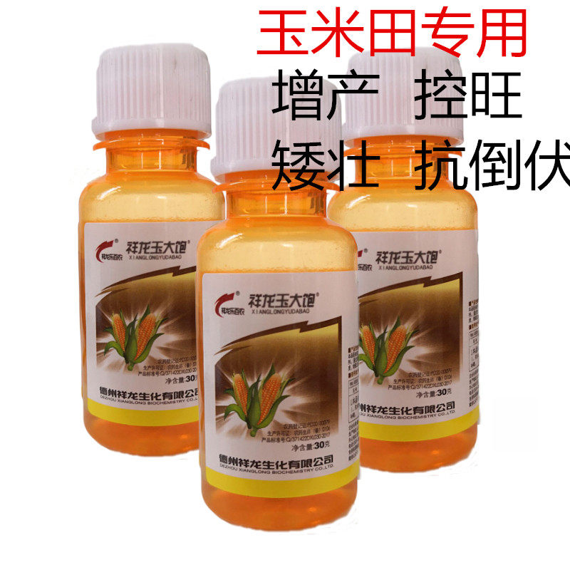 玉米田生长调节剂复配胺鲜乙烯利增产抗倒伏增粗矮壮素饱粒素