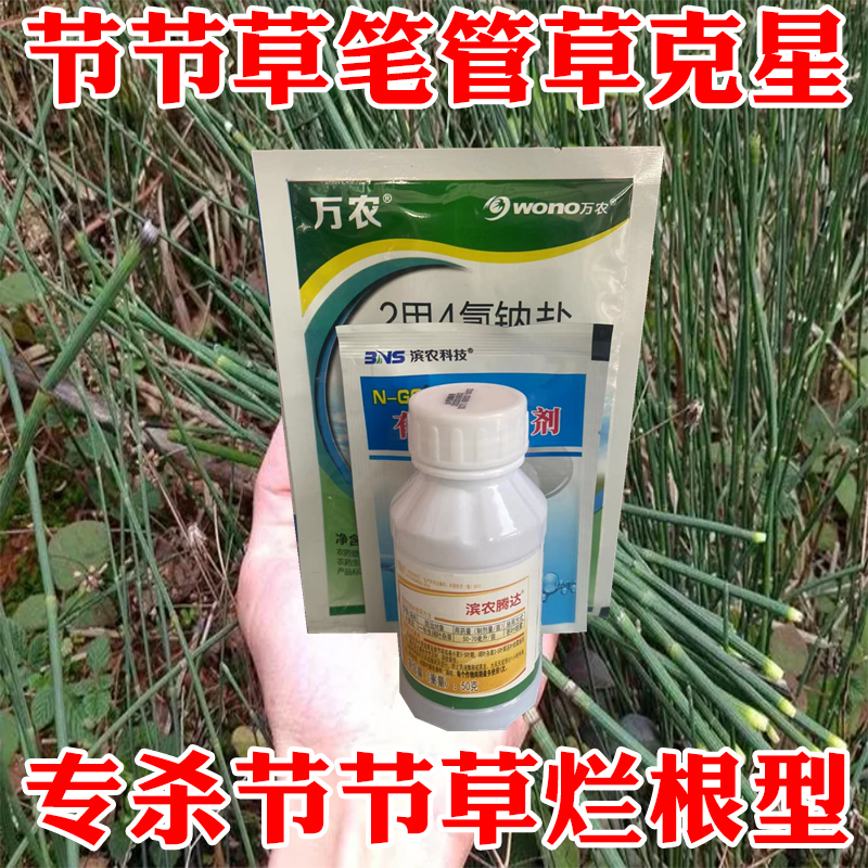 专杀节节草农药笔管草专用药除草剂 2甲4氯二甲胺盐果园死草烂根