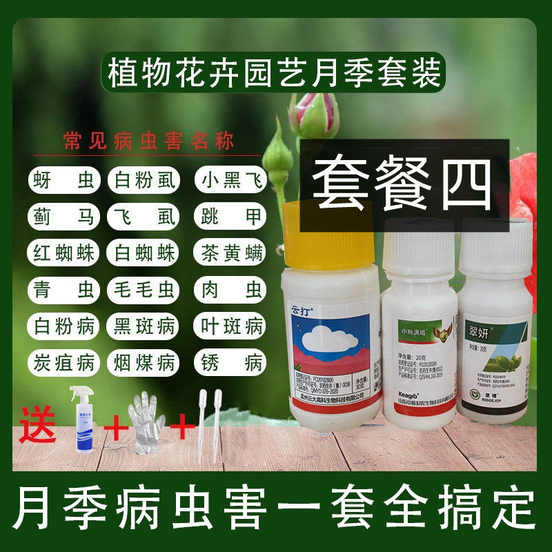 月季花常用药红蜘蛛蚜虫小黑飞杀虫剂白粉病黑斑病专用花药杀菌药