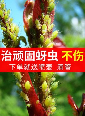 果树杀虫剂打虫药橘子|葡萄|无花果|樱桃|蓝莓|桃树专用除去虫药