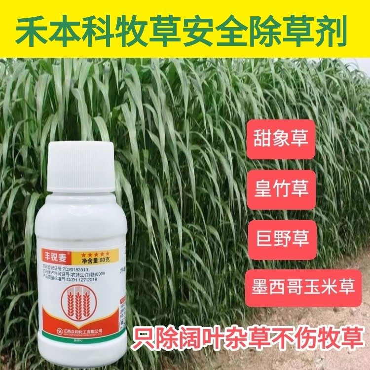 牧草除草剂皇竹草甜象草除草剂巨菌草墨西哥玉米草牧草专用除草剂