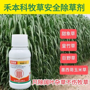 牧草除草剂皇竹草甜象草除草剂巨菌草墨西哥玉米草牧草专用除草剂