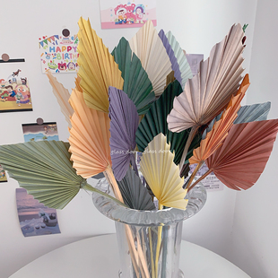 蒲扇叶永生花干花蒲葵棕树叶婚礼造型软装材料空间花艺北欧风