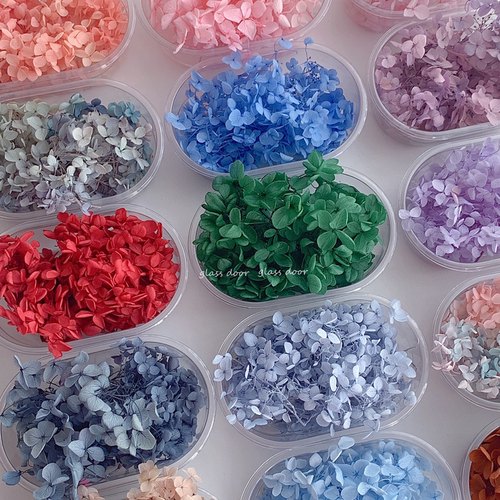 国产小叶安娜1克diy绣球永生花