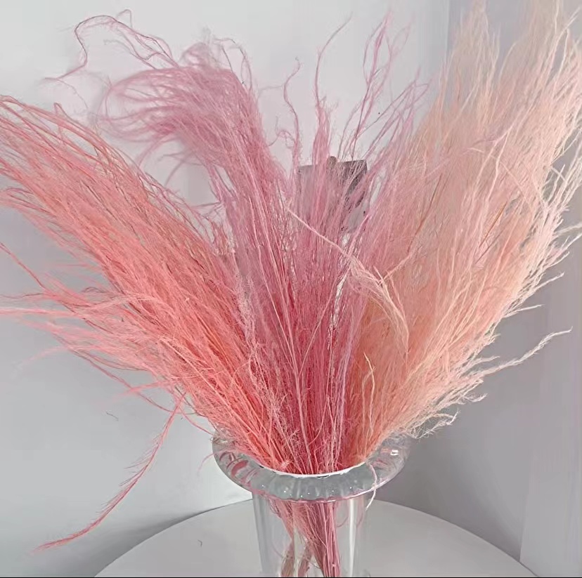 幻花永生花龙须草干花diy材料