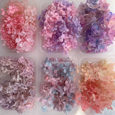 永生花绣球渐变色手工diy干花婚鞋贴脸玻璃罩花器团建活动花艺课