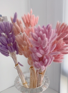 兔尾草永生花干花花束ins真花装饰摆件风干天然狗尾巴草客厅摆设