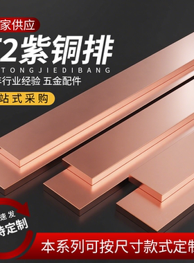定制加工t2铜排接地汇流紫铜排扁条镀锡空开接线连接片母排铜条