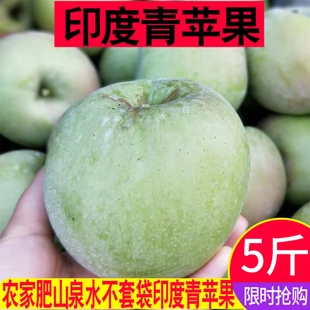 辽宁大连甜苹果 包邮 印度青苹果正宗老式 冬青印青新鲜苹果现货5斤