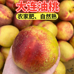 大连油桃黄肉白肉麻脸丑桃新鲜水果黄桃离核桃现摘现发应季水果