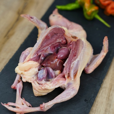 农村散养 新鲜老鸽子 青年鸽 老鸽子 现杀 鸽子