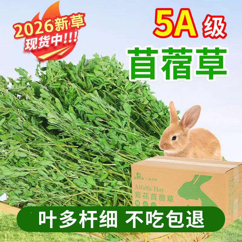 新紫花苜蓿草干草叶多杆少兔子龙猫荷兰猪豚鼠烘干草牧草毛重1kg
