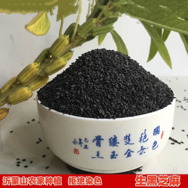 沂蒙山区农家自产新黑芝麻 食用生黑芝麻500g  全场28元包邮 粮油调味/速食/干货/烘焙 特色米/面粉/杂粮 原图主图