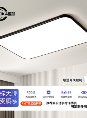 超薄极简护眼led客厅吸顶灯