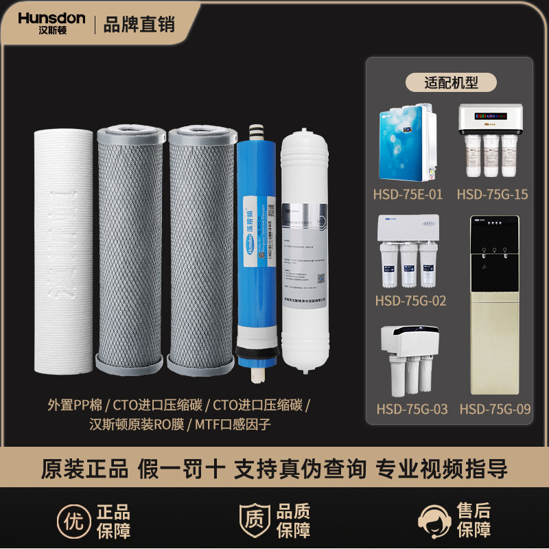 汉斯顿净水器家用直饮原装正品滤芯HSD-75G/E-01/02/03/09/15