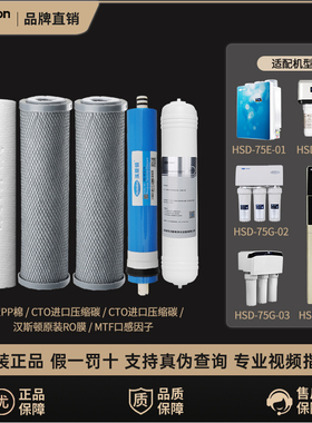 汉斯顿净水器家用直饮原装正品滤芯HSD-75G/E-01/02/03/09/15