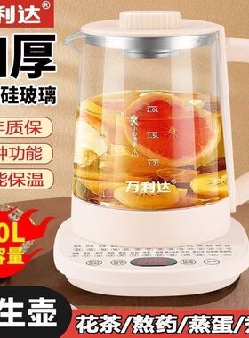 养生壶热水壶家用耐用烧水壶蒸炖煮茶壶耐高温养生壶家用批发礼品