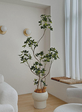 楼夏の花花草草仿真绿植盆栽摆件