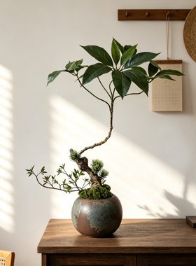 楼夏家大叶伞仿真绿植盆栽