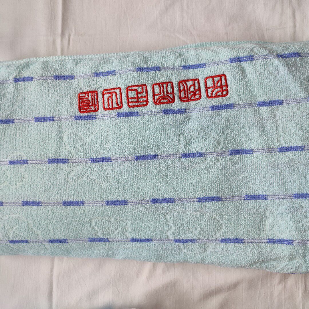 衡水二中志臻清河安平滨湖校区 其它