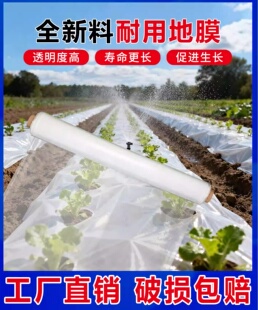 农用地膜薄膜白膜黑膜双色加厚防草熟料布草莓西瓜地膜大棚无滴膜