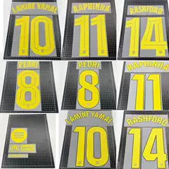 Barcelona 2025-26 Cup Printed Number - Champions League, La Liga, Copa del Rey & Supercopa Logo & Advertisement Jerseys 2025-26