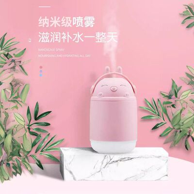 跨境爆款兔子加湿器USB桌面办公家用龙猫加湿器夜灯空气净化香薰