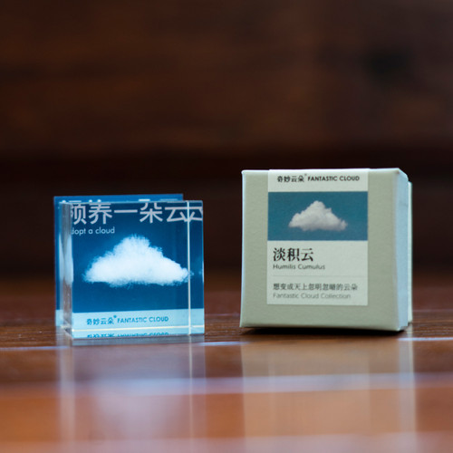 天空市集领养一朵云闺蜜生日礼物ins风走心小众高级情人节礼物 - 封面