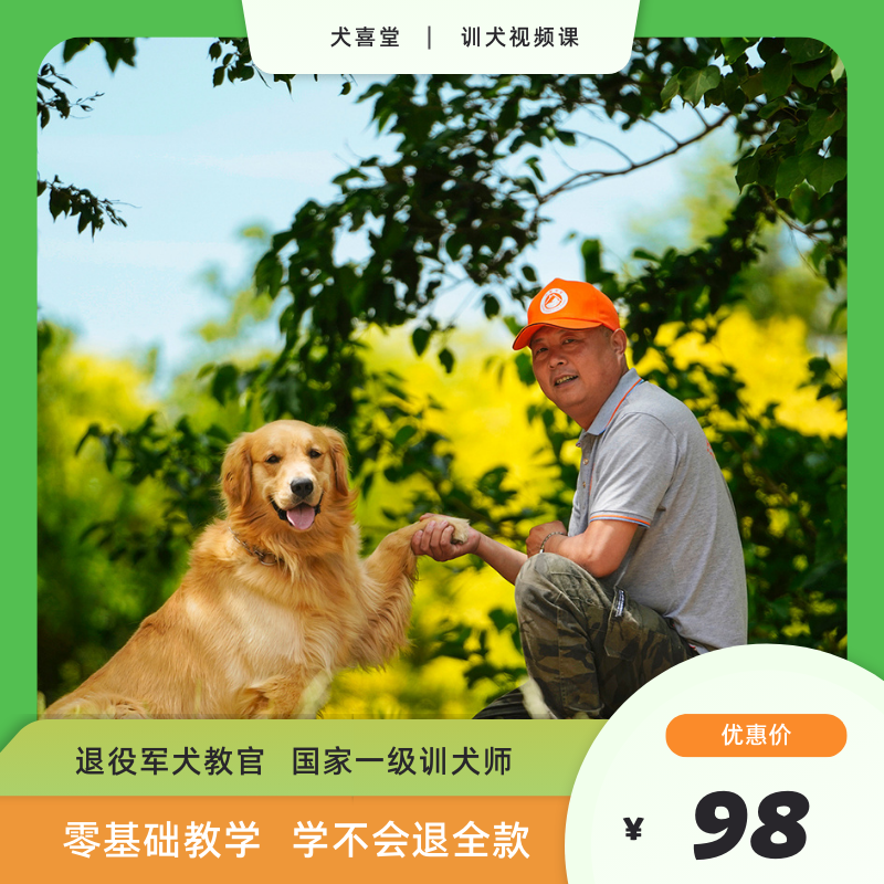 训狗视频教程训犬学校狗狗训练纠正不良行为狗狗排便训练训犬器