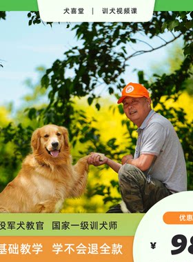 训犬视频课程训狗学校训练狗狗