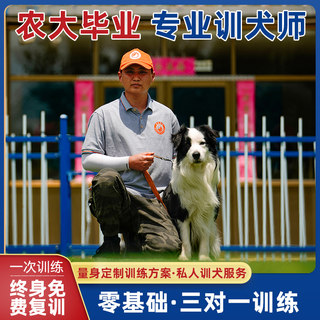 北京训练狗犬学校基地教程课上门幼犬乱拉乱尿拉布拉多金毛火腿肠