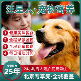 北京宠物狗狗家庭寄养单间长期家庭代养监控训狗上门接送宠物学校