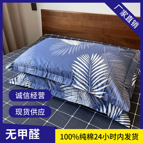 纯棉枕套拉链一对全棉枕头芯成人