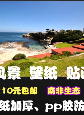 防水非洲原生态自然风景装饰画