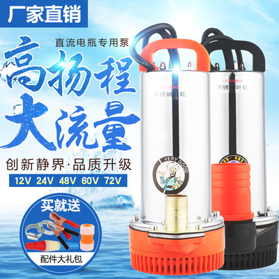 震泰直流潜水泵12v24v48v60v72浇菜浇花灌溉抽水机电瓶车洗车园林