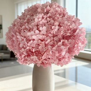 网红安娜绣球永生花 diy花束材料生日礼物 七夕婚礼家居装饰花材