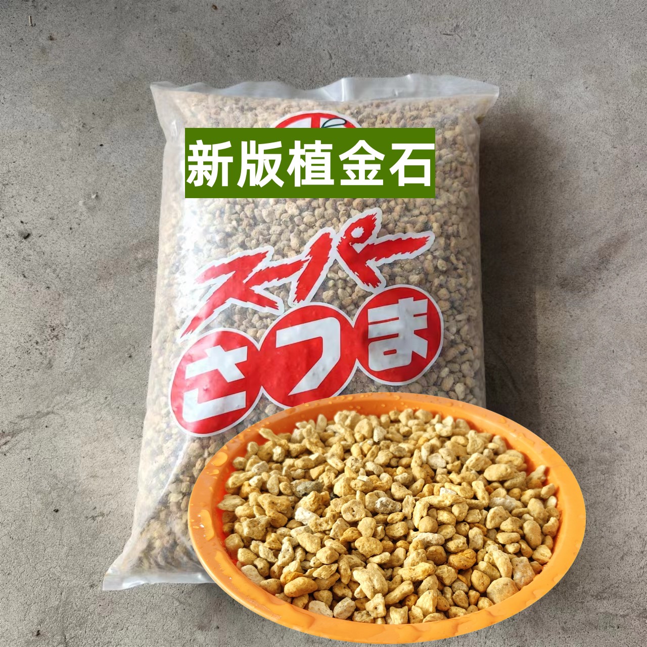 植金石高级兰花多肉日本