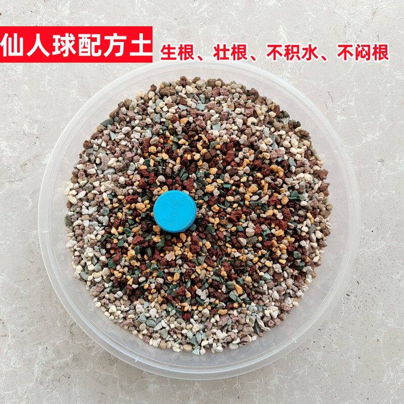 仙人球专用土（纯颗粒）营养配方土仙人掌仙人球类多肉介质-包邮