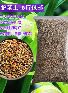 兰花护茎土兰草填充芦头鳞茎保护新芽护心土铺盖盆面颗粒石包邮
